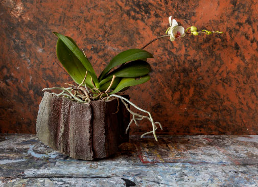 Decembrance-2020-Catherine-White Ceramic vase Decembrance 2020-Catherine White