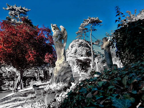 0d6d63e995d0e67345aecfe4d3e96464