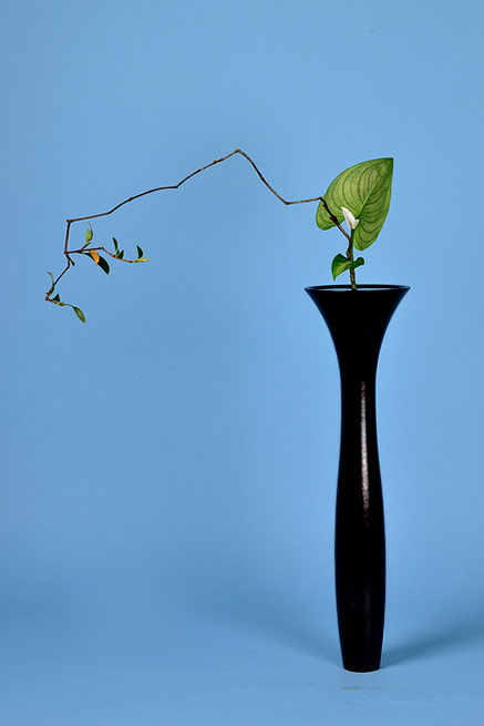 Shoka shimputai ikebana – Lusy Wahyudi Shoka-ikebana-display