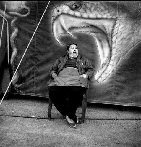 6611c661-1948-4039-b06d-62930ac25899-1014x1020