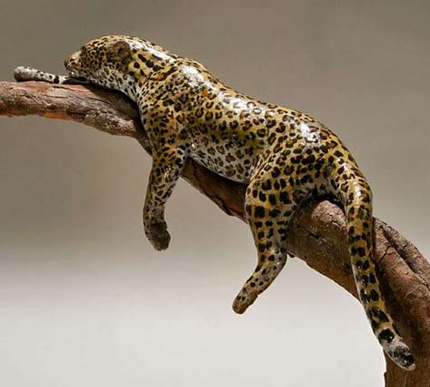 Nick-Mackmanleopard-sculpture african-Safari-sculptures--Safarious---African-Animal-Sculptures---Nick-Mackman