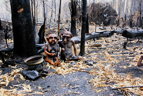 Aftermath7Brunos-garden Bush fire at Bruno's sculpture garden