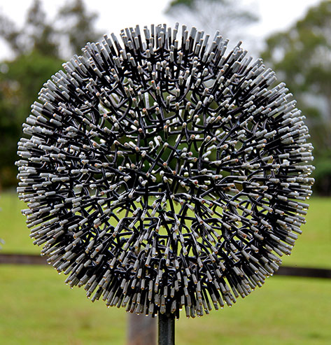 Al-Phemister’s-Dandelion-series-2015 Al-Phemister’s-Dandelion-series-2015 - Kangaroo Valley sculpture