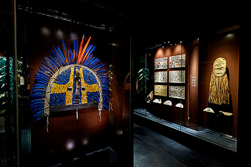 Amazonia-Amazonia.-The-Shaman-and-the-Mind-of-the-Forest--