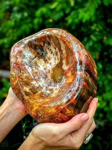 petrified-wood-crystal Ancient knowledge petrified wood