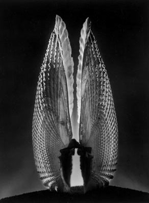 Angel-Wings--Ruth-Brnhard Angel Wings glass sculpture,-1943--Ruth Brnhard