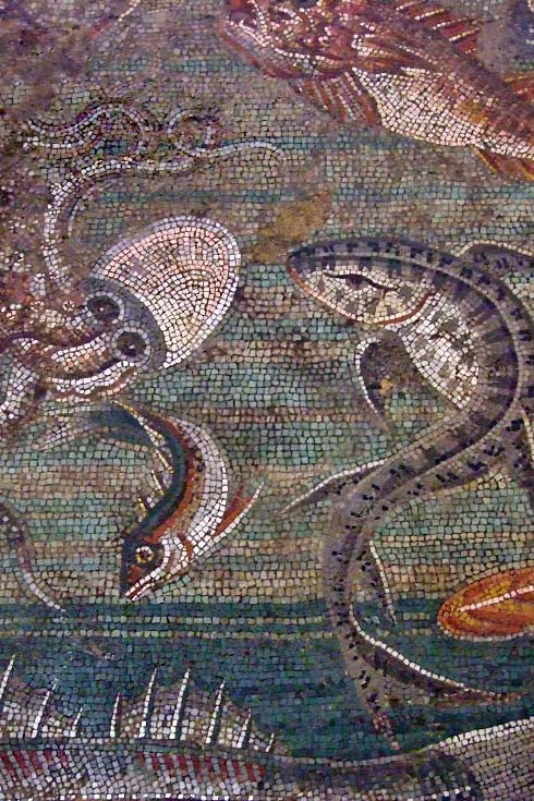 Roman-mosaic-swimming-sealife arine-life-mosaic-from-house-viii-pompeii-demonstrating-the-vermiculatum-technique-roman-2nd-century-bce