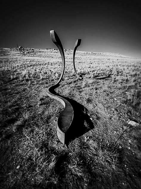 astra-parker-migration-sero-Bill-Doyle-flickr astra-parker-migration-sero-bill-doyle-flickr