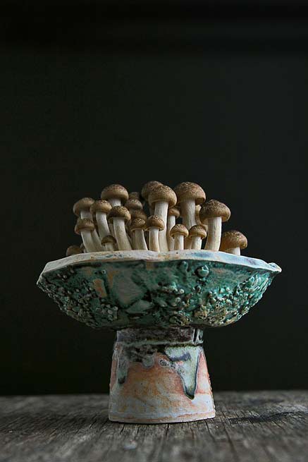 Adam Whatley-ceramics Aughrim-with-mushrooms by Adam Whatley