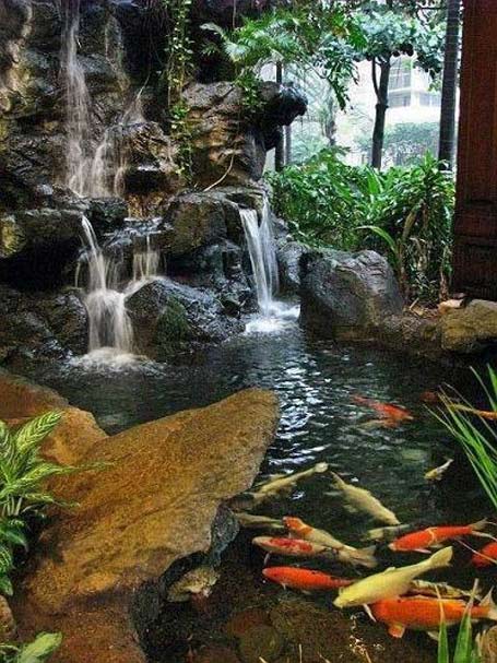 backyard-jungle-fountain-with-Koi