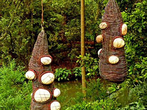 Banksia-Women-by-Bronwyn-Berman-2013 Banksia-Women-by-Bronwyn-Berman-2013 outdoor hung sculpture