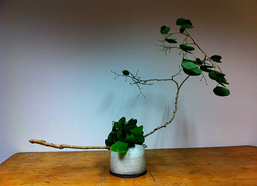 Bauhiinia---One-Kind-of-Branch---2013 Bauhiinia---One-Kind-of-Branch---2013