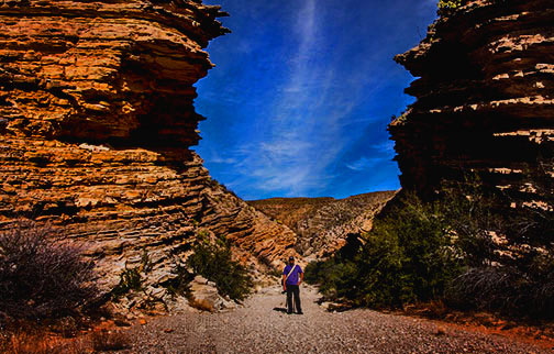 Big+Bend+National+Park- Big Bend National Park