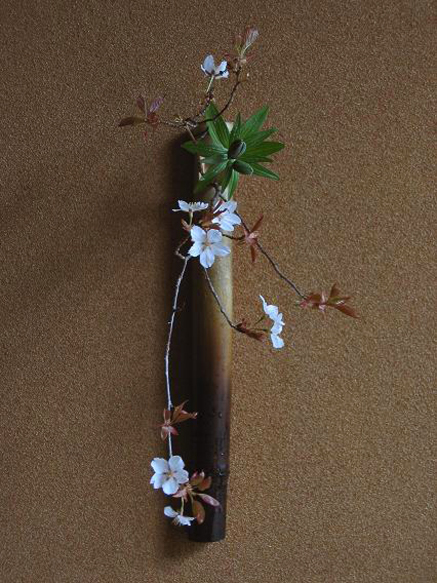 Black-lily-and-wild-cherry-tree-flowers-Gloaming