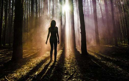 Javier-Gutierrez-photo “Bosque,” by Javier Gutierrez, 2015