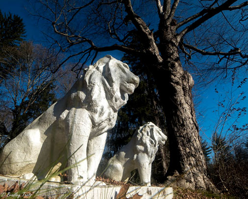 Bradley-and-Robin-Teets Lion statues - Bradley and Robin Teets