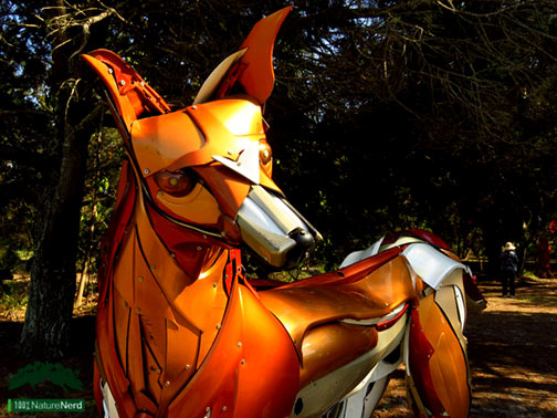 Brunswick-Nature-Sculpture-Walk Dingo by Nick Warfield