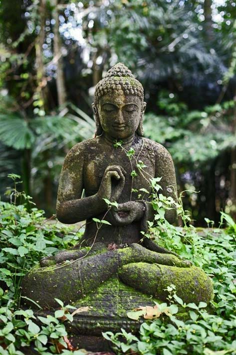 Buddha-garden-statue Buddha garden statue - Pavel Bobrovskiy photo