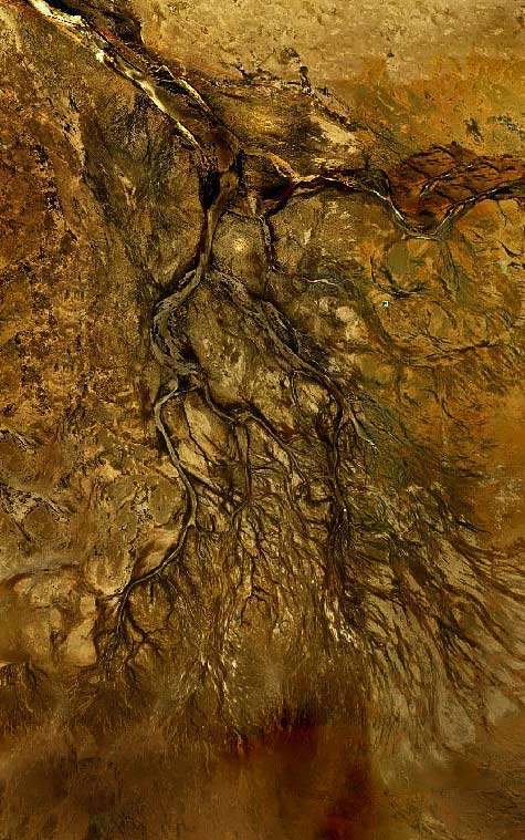 Bunjil-Tree-Of-Life-by Robby-Hood Bunjil-Tree-Of-Life--digital art by Robby Hood - eagle in flight