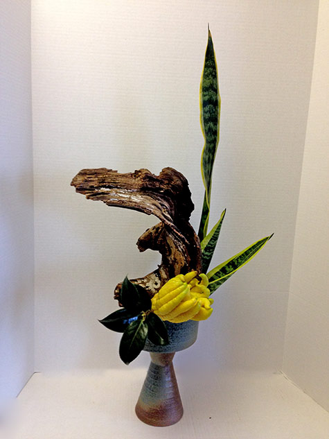 Bunjin-arrangement-Pats-Ikebana Bunjin-arrangement-Pats-Ikebana yellow flower and driftwood