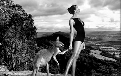 cambewarra-range---Helmut-Newton-composoite