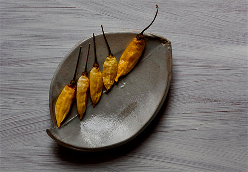 Catherine-White-dish-with-peppers Catherine-White---2009-Winter-Solstice---Pepper-Line on elliptical dish