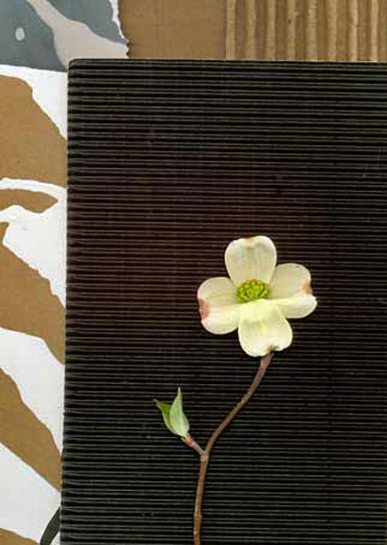 Mixed-media-Christine-White Catherine-White_dogwood flower mix media on paper