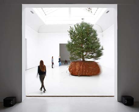 celeste-boursier-mougenot-french-pavilion-venice-art-biennale-designboom-11 Tree sculpture - Celeste Boursier Mougenot--French-pavilion