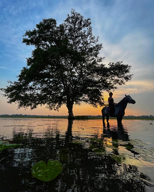 Chathurika-Munasinghe--- Chathurika-Munasinghe---