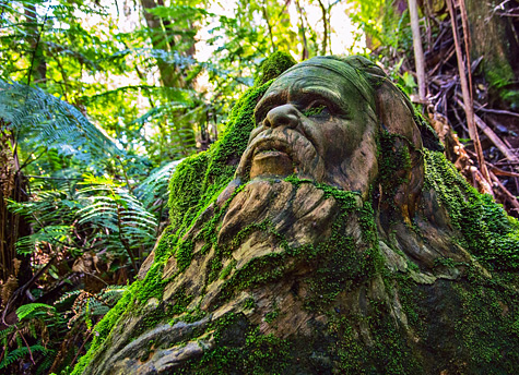 Ricketts-Sanctuary-Melbourne William-Ricketts-Sanctuary - Bearded aboriginal elder sculpture -photo-Chris Wang