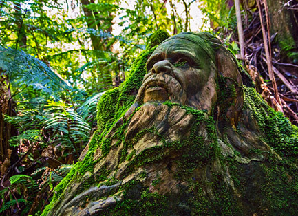 Sculptural-bust-of-Australian-aboriginal Aboriginal clay sculpture - Ricketts Sanctuary - photo by Chris-Wang