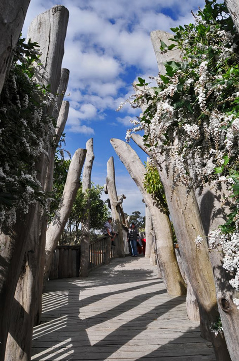 Australia-Garden Cranbourne Botanical Garden - photo by Craig-Ward