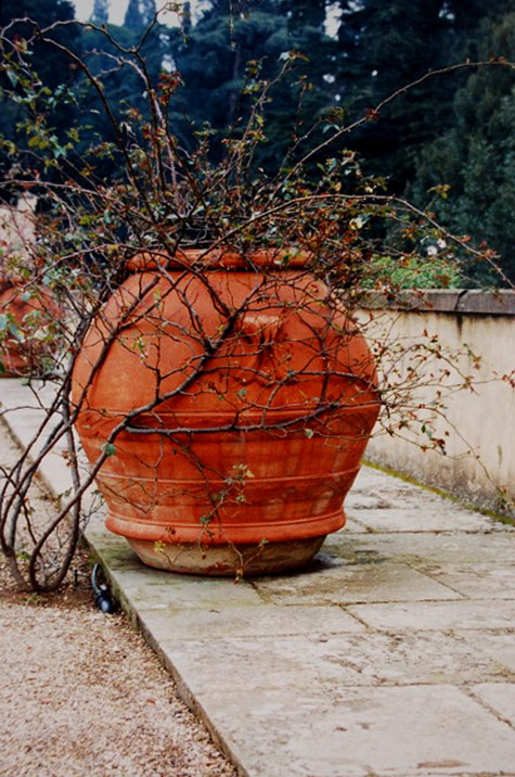 deborahsilver-com large terracotta outdoor planter