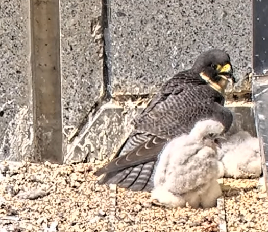 download (259) download (259)