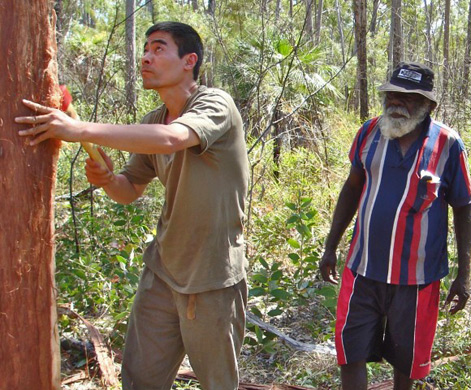 chinese-artist-zhou-xiaoping-471x390 Central Australia - Zhou Xiaoping selecting bark for painting with John Bulunbulun