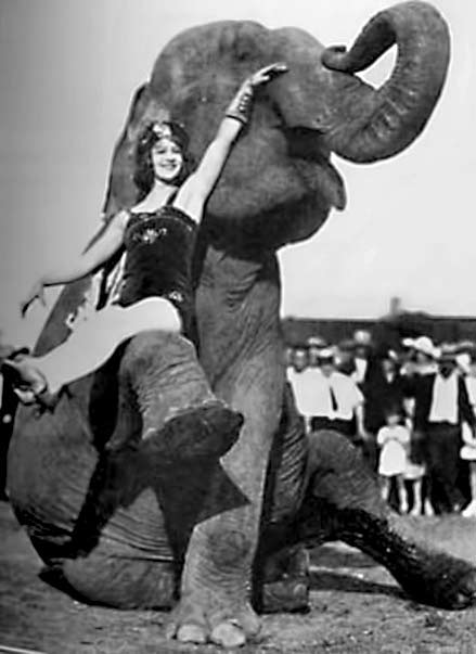 Circus-elephant-with-performer elephantgirl - female circus performer sitting on an elephants knee