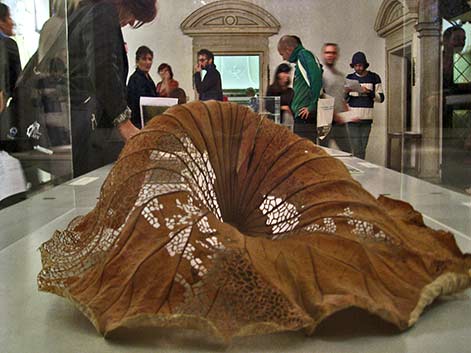 Elisabetta-di-Maggio-Lotus-leaf-stabilized-and-hand-cut-with-a-scalpel Elisabetta-di-Maggio-Lotus leaf stabilized and hand-cut with a scalpel.Elizabeth MayVenezia Contemporanea
