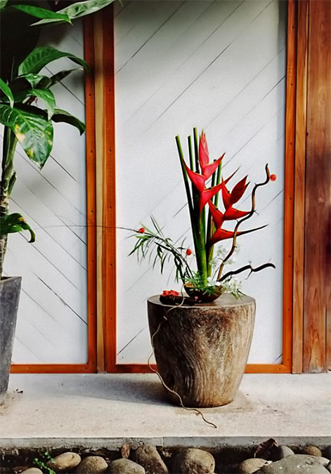 Emily-Katz-on-Instagram--“Loved-learning-and-playing-with-Ikebana-this-week-at-the--puravidapeartree-workshop Emily-Katz ikebana