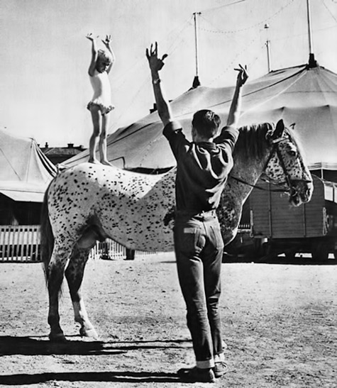 circus-traing-for-young-girl-475x547 Young girl standing on a horse