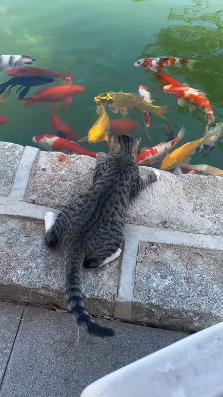 F9L4CM6W8AAGU3V F9L4CM6W8AAGU3V