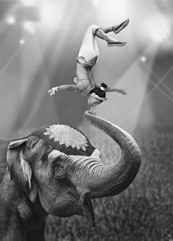 balancing-acrobat0on-elephant-343x477 Female circus acrobat with elephant
