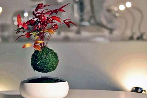 air-bonsai-garden-by-hoshinchu floating-air-bonsai-garden-by-hoshinchu-defies-gravity-designboom-