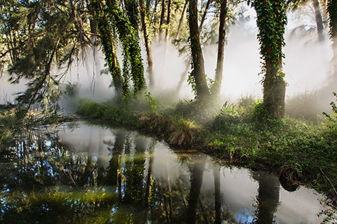 Foggy-wake-in-a-desert-Fujiko-Nakaya-475x317 Foggy wake in a desert--An ecosphere Fujiko Nakaya