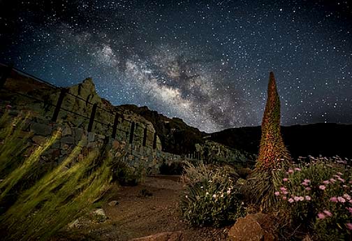 fotografia nocturna1