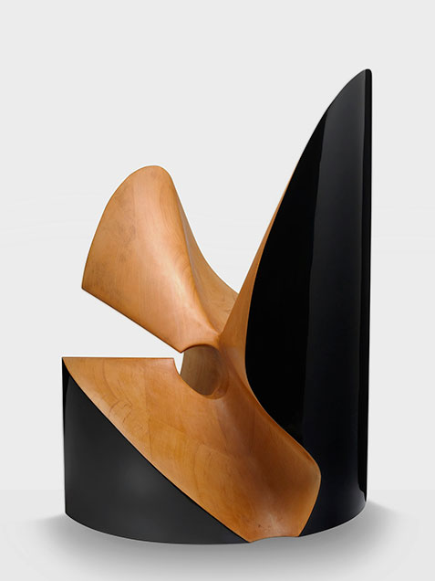 Geometrical-Form-in-Cypresstoshimasa-kikuchi-0001-01 Geometrical-Form-in-Cypresstoshimasa-kikuchi-0001-01