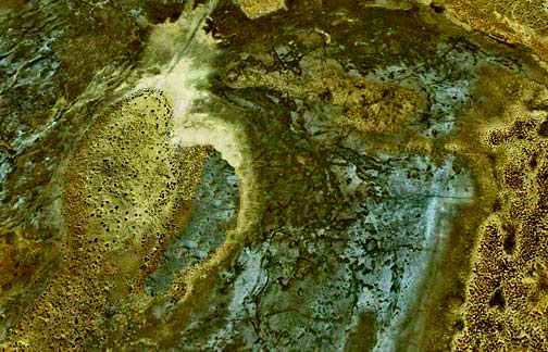 bindi-the-snake-by-Robby-Hood Golden-Rainbow-Serpent-Bindi - digital art by Robby-Hood