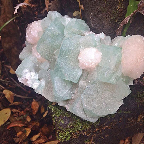 Green-Apophyllite---Earth's-Magic Green Apophyllite---Earth's Magic crystal