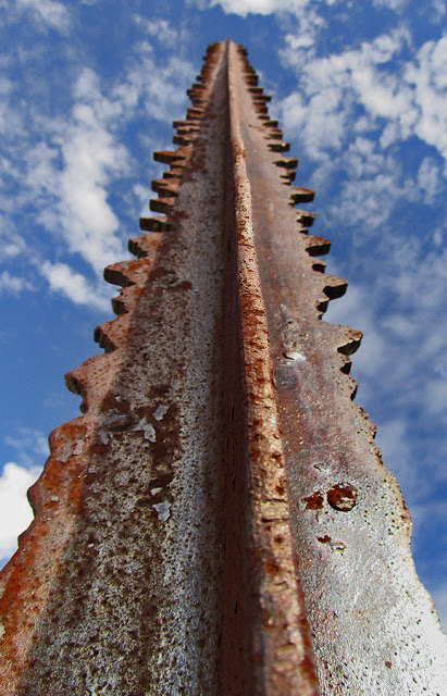 Gungahlin-called-The-Goongarline