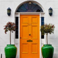 Ororange entrance door aang green pots