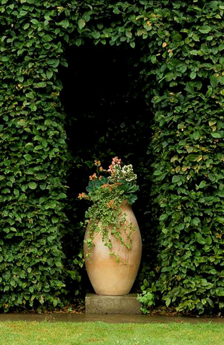 hedge-alcove-John-Glover-Photography hedge alcove- with large ceramic pot -- John Glover Photography